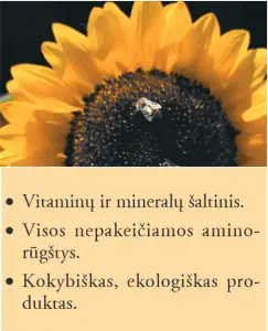 Forever Bičių žiedadulkės
