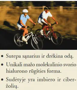 Active HA - Hialurono rūgštis