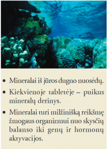 Nature-Min - forever mineralų kompleksas