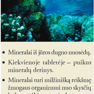 Nature-Min - forever mineralų kompleksas