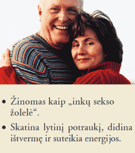 Forever Multi-Maca