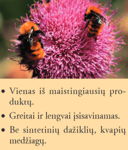 Forever Bičių pienelis