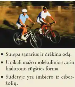 Active HA - Hialurono rūgštis