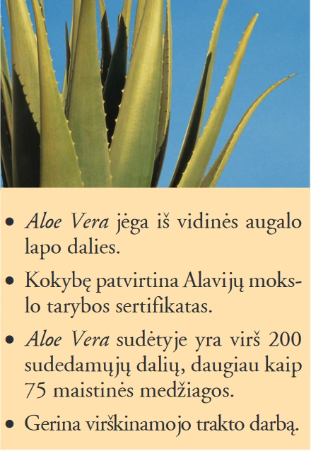 aloe vera sultys