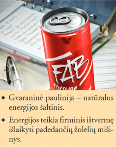 FAB - energinis gėrimas