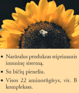 Forever Bičių pikis