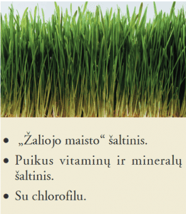 Forever Žalumynų laukai