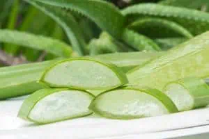 aloe vera nauda