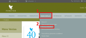 forever uždarbis