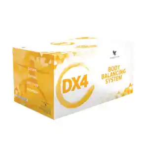 forever dx4 pusiausvyrą atkurianti programa